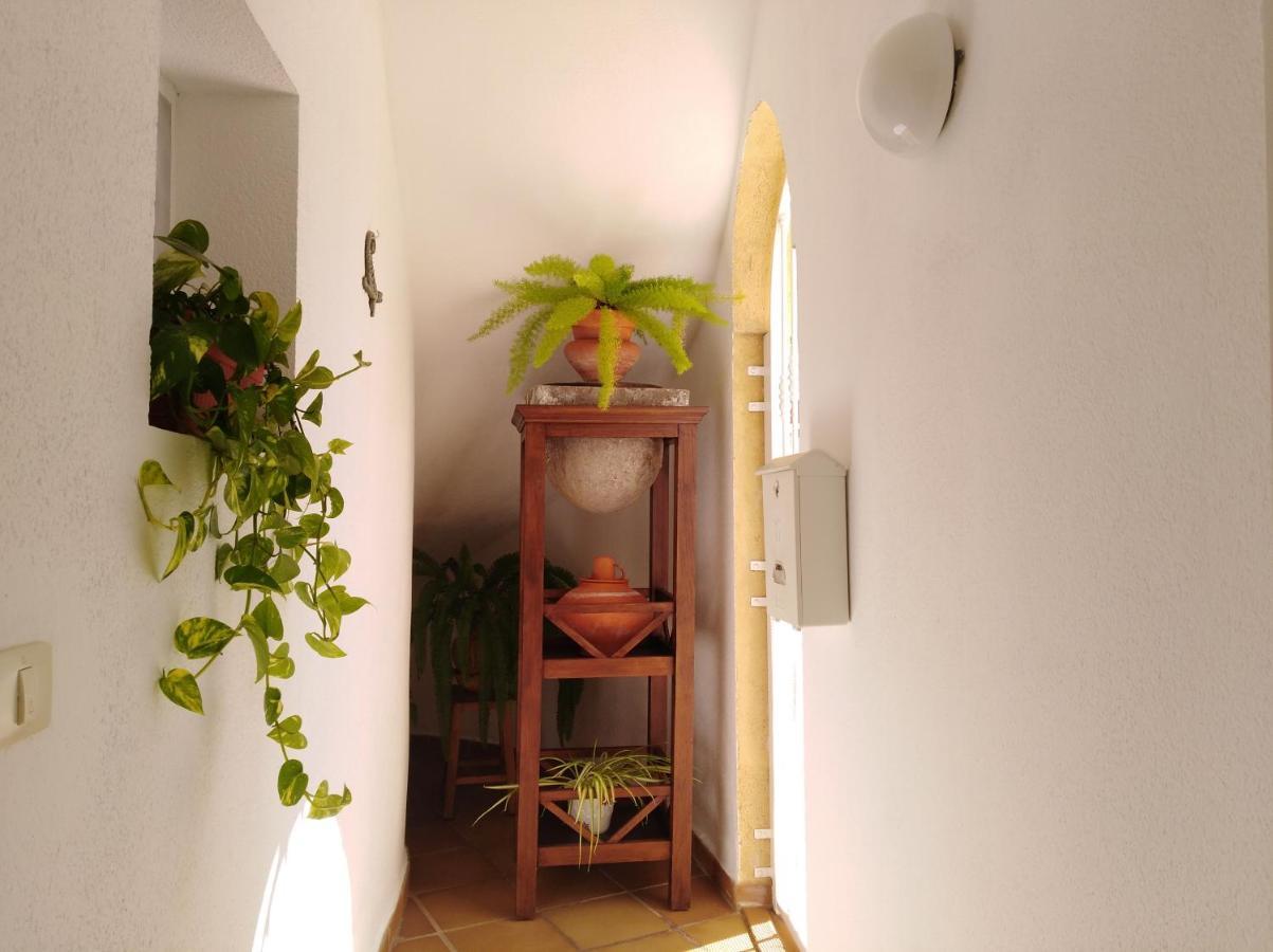 Apto. Pina De Mar Costa Adeje  Exterior foto